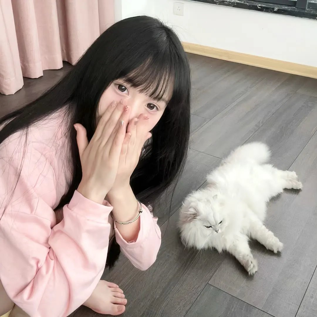 谜圈